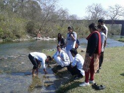 zoology_evs